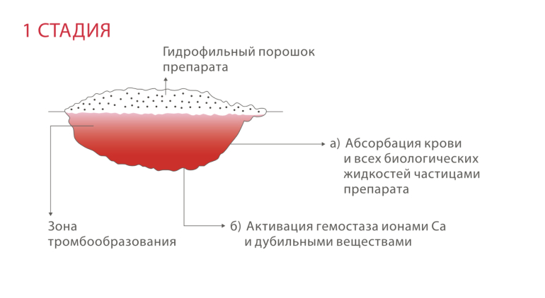 Схема механизма действия препарата «Полигемостат» - Полигемостат .